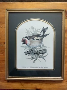 Gerahmter Druck eines Goldfink Vogels eines Originalkunstwerks von David Andrews  - Bild 1 von 4