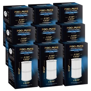 Paquete de 11 filtros spa POOLPUR C-6430 compatibles con 31489, PWK30, Filbur FC-391 - Imagen 1 de 11