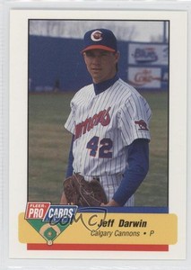 1994 Fleer ProCards Minor League Jeff Darwin #783