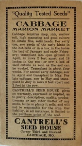 Vintage Vegetable Seed Packet "CABBAGE"  "Marion Market"  NO SEEDS" Original   - Picture 1 of 3