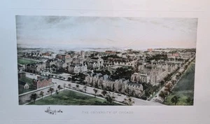 🔥UNIVERSITY OF CHICAGO ENGRAVED ART PRINT BY RICHARD RUMMELL SIZE 33.5 x 22🔥 - Picture 1 of 2