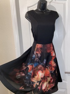 ted baker briege