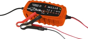 S 553984 - Caricabatterie per Auto Intelligente - Foto 1 di 12