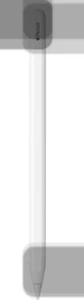 Apple Pencil (USB-C) - Bianco - Foto 1 di 2