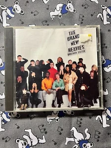 The Brand New Heavies-Brother Sister CD - Bild 1 von 3