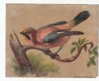 Carte vict rouge et rose oiseau sur branche sans publicité c1880s