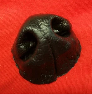 Maschera naso cane lupo mannaro fuso gomma morbida pelliccia tassidermia artigianato costumi - Foto 1 di 6