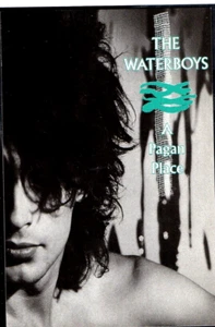 Carte Postale ♫ THE WATERBOYS : A PAGAN PLACE ♫♫ Laminated Postcard - Imagen 1 de 2