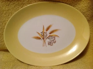Autumn Gold by Century Service Corp Oval 11.5" Platter Brown/Yellow SemiVitreous - Picture 1 of 5
