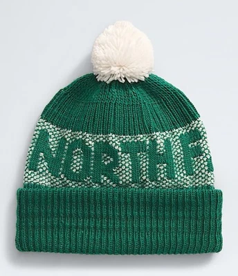 North Face Retro Cabin Men’s Unisex Beanie Winter Hat Green Brand New Foto 1 de 4