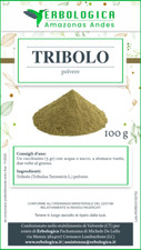 Tribulus terrestris in polvere 100 grammi, forte tonico, afrodisiaco
