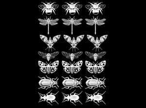 Dragonfly Bee Moth Beetle Collection 21 pcs 0.75 Inch White Fused Glass Decals - Picture 1 of 2