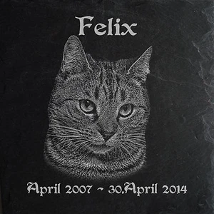 Deutsche Kurzhaar Katzen GRABSTEIN Tiergrabstein Katze-011►Textgravur ◄20 x 20cm - Bild 1 von 1
