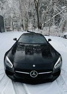 Conjunto de parrilla Mercedes-Benz AMG GT S 2015-2017 - FABRICANTE ORIGINAL 190-885-00-53 Foto 1 de 4