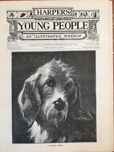 Otterhound cane amico fedele 1884 Città del Capo Sudafrica-Kite-Kirmesse Festival - Foto 1 di 9