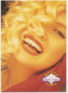 A8963- 1992 Bench Warmer Collector Card #s 1-120 -You Pick- 10+ FREE US SHIP