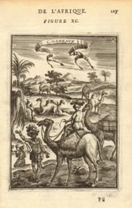 CAMELS. Riding camels. 'Chameaux'. Nubia. Sudan. Egypt. MALLET 1683 old print - Picture 1 of 1
