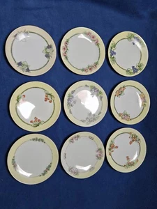 Thomas Bavaria "Kathrine" China Bread Plates Set of 9 - flowers and fruit 6.5" - Picture 1 of 21