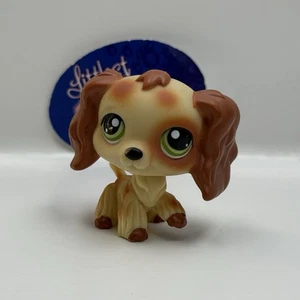 COCKER SPANIEL DOG #Puzzle - Authentic Littlest Pet Shop - Hasbro LPS - Picture 1 of 4