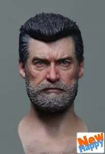 Vorverkauf alte Wolverine 1/6 Scale handbemalte Kopfskulptur - Bild 1 von 9