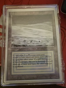 MTG Revised Tundra - Picture 1 of 1