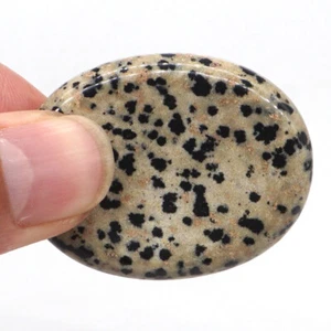 1.7" Worry Stone Dalmation Jasper Reiki Healing Meditation Finger Massage Stone - Picture 1 of 9