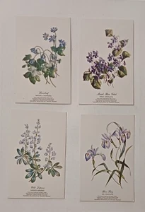 Vintage Floral Postcards Water Color By Kathleen Cassel Inspired By Betty Carnes - Picture 1 of 6