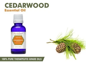 Cedarwood Essential Oil 100% Pure Natural Aromatherapy Oils Therapeutic Grade - Picture 1 of 3