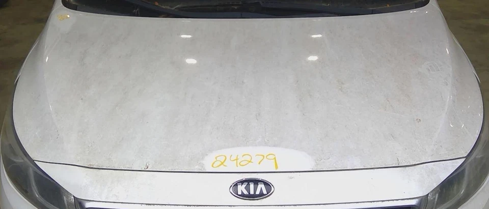 Panel de capó blanco UD genuino OEM 66400A9000 Kia Sedona 2015-2021 Foto 1 de 1