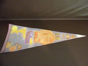 Florida Souvenir Felt Pennant - Picture 1 of 3