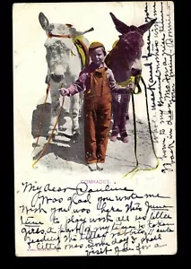 postcard Comrades-boy with mule/donkey, embossed (P-1-O) - Picture 1 of 2