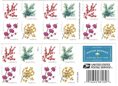 Winter Berries Book of 20 First Class US Postage Stamps Wedding Celebrate Engage - Image 1 of 4