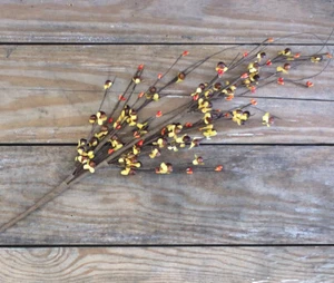 Artificial Floral Pick Bittersweet & Orange Pip Berry Spray Fall Decor 29 in - Picture 1 of 9