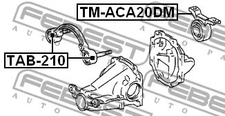 Montaje diferencial trasero FEBEST 2000-2005 Toyota RAV4 TM-ACA20DM Foto 1 de 2