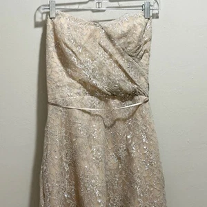 ALVINA VALENTA MAIDS Women’s Beige Silver Lace Overlay Strapless Formal Dress 14 - Picture 1 of 7