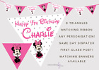Personalised MINNIE Mouse Themed Birthday KIDS Birthday Party Banner Bunting