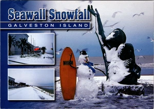 Kontinentale Postkarte - Seawall Schneefall, Galveston Island unbesendet - Bild 1 von 2