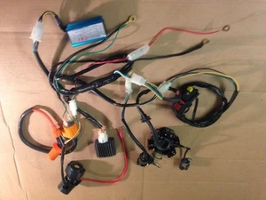 WIRING LOOM HARNESS ELECTRIC START + STATOR PLATE PIT BIKE QUAD MONKEY BIKE TYP2 - Picture 1 of 1