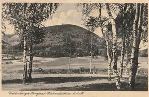 AK Waldenburg (Schlesien) / Wałbrzych 1943 - Blick zum Hochwald - Bild 1 von 2