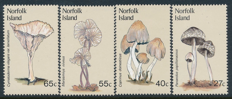 1983 NORFOLK ISLAND COGUMELOS FUNGOS CONJUNTO DE 4 EM PERFEITO ESTADO, SEM MARCA DE CHARNEIRA - Imagem 1 de 1