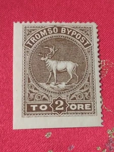 Norway 1885,Tromso By Post 2Ore.Local Post Mint(0504-8) - Picture 1 of 2