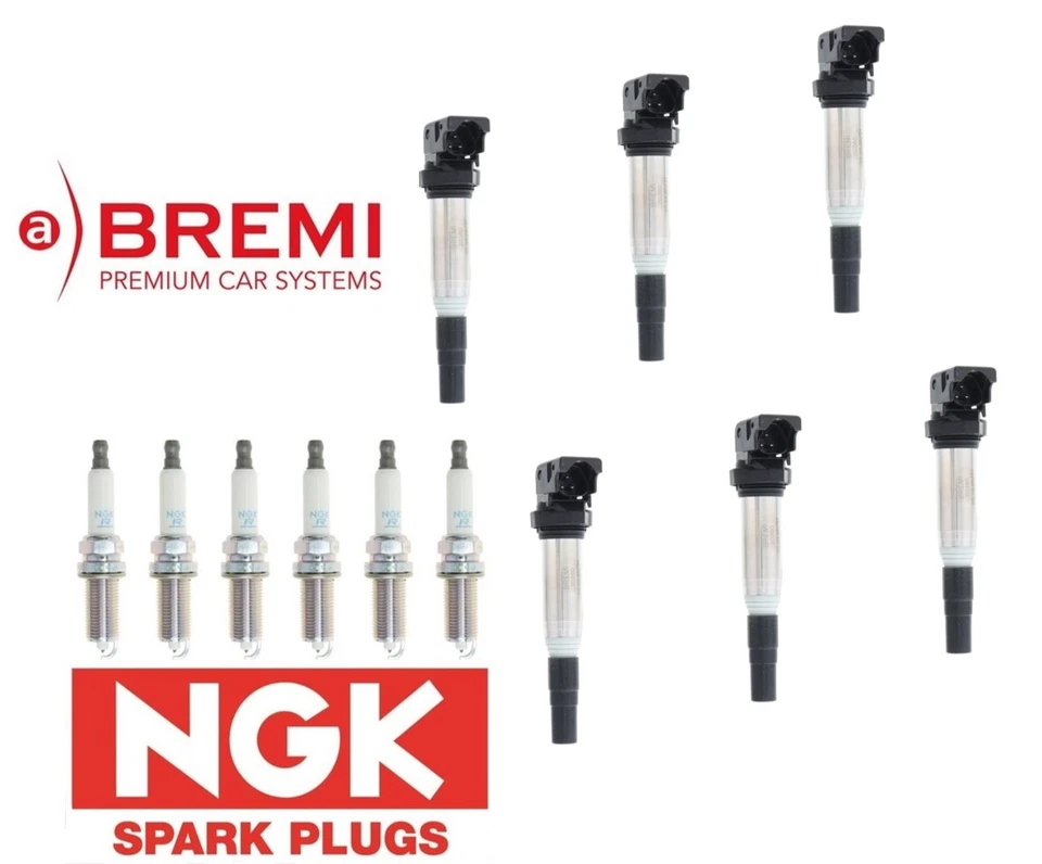 Seis bobinas de encendido Bremi con bujías NGK BMW OE #'s: 12138616153 / 12120037663 Foto 1 de 1