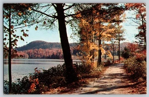 Peaceful Scene, forest trail, lake, Fall - Picture 1 of 2