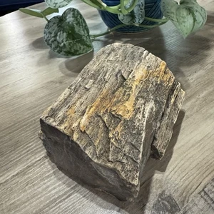 ALTES VERSTEINERTES HOLZ GROB EXEMPLAR GEFUNDEN IN DEN SCHWARZEN HÜGELN SD 3 + PFUND - Bild 1 von 9