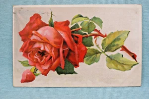 Red Rose - Postcard  - Picture 1 of 2