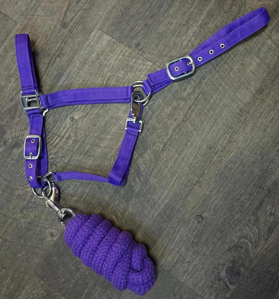 Halter de nailon Showman Full Horse tamaño 2 capas con cuerda de plomo de algodón trenzado de 7 pies Foto 1 de 1