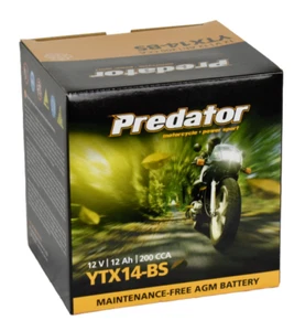 YTX14-BS 12V Predator Motorcycle Battery - AGM ETX14 MX14-4 YTX12-BS - Picture 1 of 9