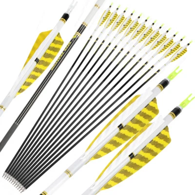 Archery Pure Carbon Arrows SP300-800 Feathers ID6.2 Compound Recurve Bow Hunting - Image 1 of 4