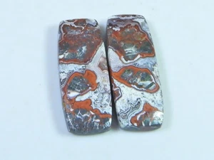 29Cts. AAA Crazy Lace Agate (11X28 mm each) Octagon Cabochon Matched Pair Y957 - Picture 1 of 9