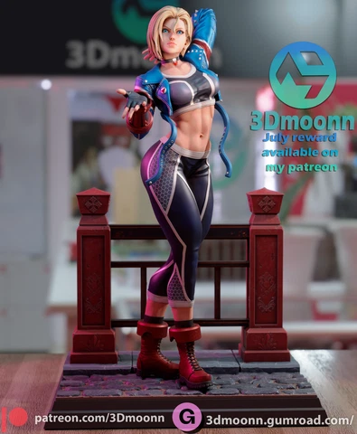 Cammy / 3DMoon/Street Fighter/ Video Game/Figure/Fan Art /Model kit Cover